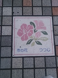 市の花２.JPG