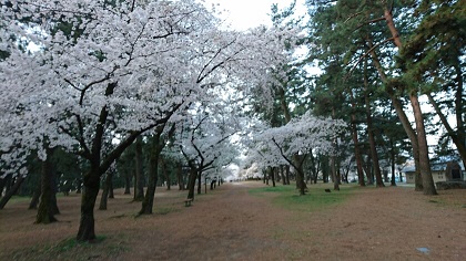 １敷島.JPG