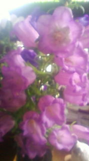 20100607072231.jpg