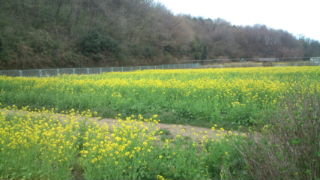 20120413161903.jpg