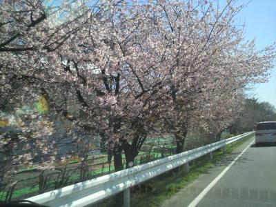 2011040511370001.jpg