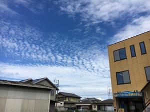 いわし雲97.JPG