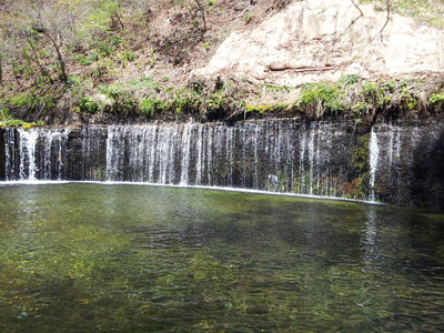 白糸の滝５月.jpg