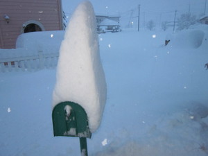 雪、雪、雪.jpg