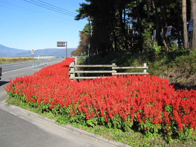 岡村邸休憩.JPG