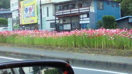 201205241835001.jpg