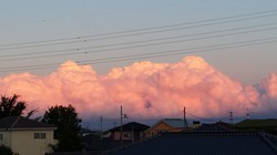 20150606_185337.jpgのサムネール画像