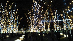 201111202101000.jpg