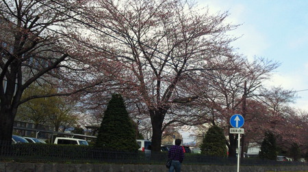 201204051524000.jpg