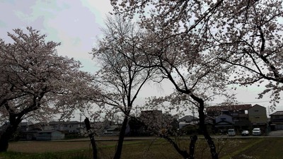 20160401_124700.jpg