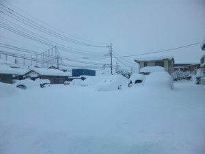 2014.2.15積雪２.JPG