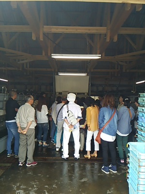 2014.5.14あわび工場見学.JPG