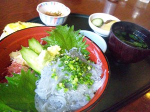 生しらす丼.JPG