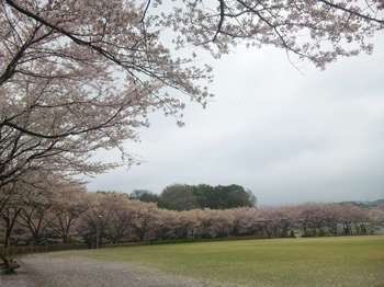 箕郷ふれあい公園.jpg