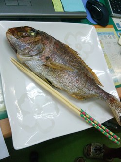 鯛（食べる前）.JPG