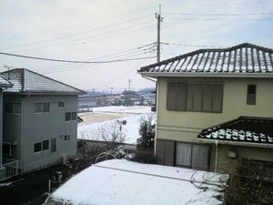 2011020909590000.jpg