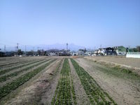 2011022612150000.jpg