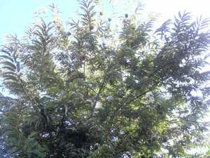 2012092607130000.jpg