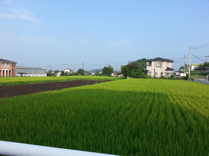 20130822_064355.jpg