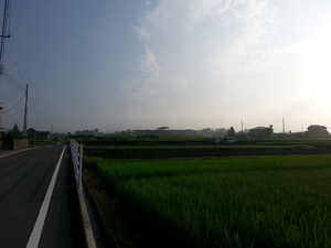 20130822_064805.jpg