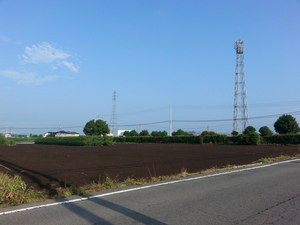 20130822_071017.jpg