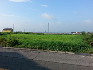 20130822_071820.jpg