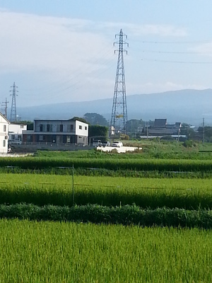 20130822_072435.jpg