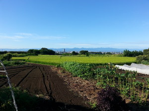 20130828_071526.jpg