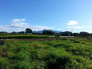 20130828_072302.jpg