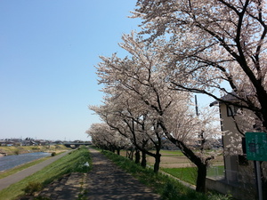 20140407_121324.jpg