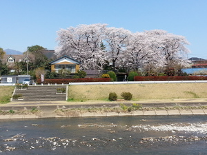 20140407_121832.jpg