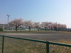 20140409_085149.jpg