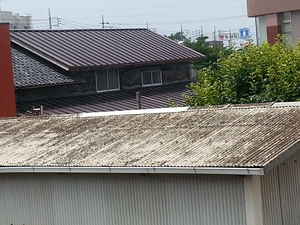 20140625_110216.jpg