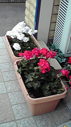 2011042416180000.jpg